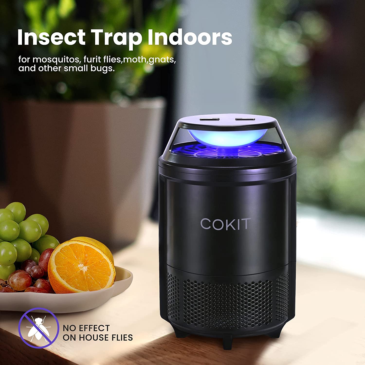Aspectek Sticky Fly Insect Trap for Indoor, Plug-in Blue Light Bug Tra